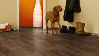 Ламинат Kronotex Exquisit Plus D 3664 Дуб Монтмело Тоффи