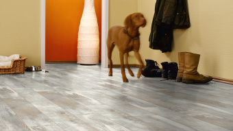 Ламинат Kronotex Amazone D 4754 Дуб Хелла