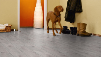 Ламинат Kronotex Amazone D 3239 Дуб Престиж Белый