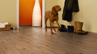 Ламинат Kronotex Exquisit D 4169 Дуб Престиж Светлый