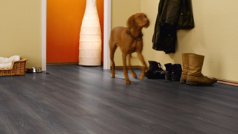 Ламинат Kronotex Exquisit D 2804 Дуб Стирлинг